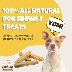 EcoKind perro feliz masticando y entretenido con un chew