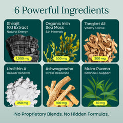 Etta Vita capsules close-up showing texture and plant-based capsule benefit