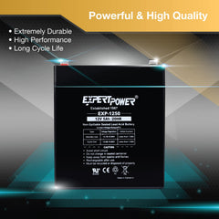 ExpertPower EXP1250 etiqueta con especificaciones claras y uso recomendado