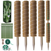 Fabulas poste musgo frente con caja, soporte natural listo para usar