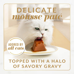 Fancy Feast textura mousse de salmón en primer plano, apetecible para gatos