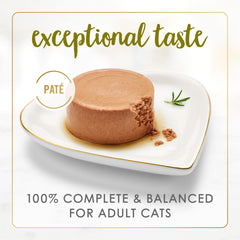 Fancy Feast textura pâté en primer plano, fácil de masticar