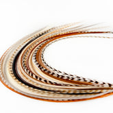 Feather Headz paquete frontal mostrando 21 plumas reales y 20 micro-anillas, aspecto profesional