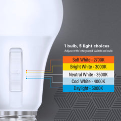 Feit Electric comparación de tamaño junto a objetos comunes para referencia de escala
