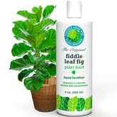Fiddle Leaf Fig Plant Food front label showing brand and usage benefits