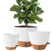 Fielda front view of 8,10,12 inch planters showing clean design and versatility