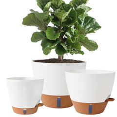 Fielda front view of 8,10,12 inch planters showing clean design and versatility