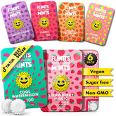 Flintts paquete Fruit Troop frontal mostrando diseño y variedad de sabores