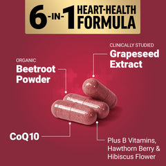 Force Factor ingredientes en mano representando dosificación y naturalidad