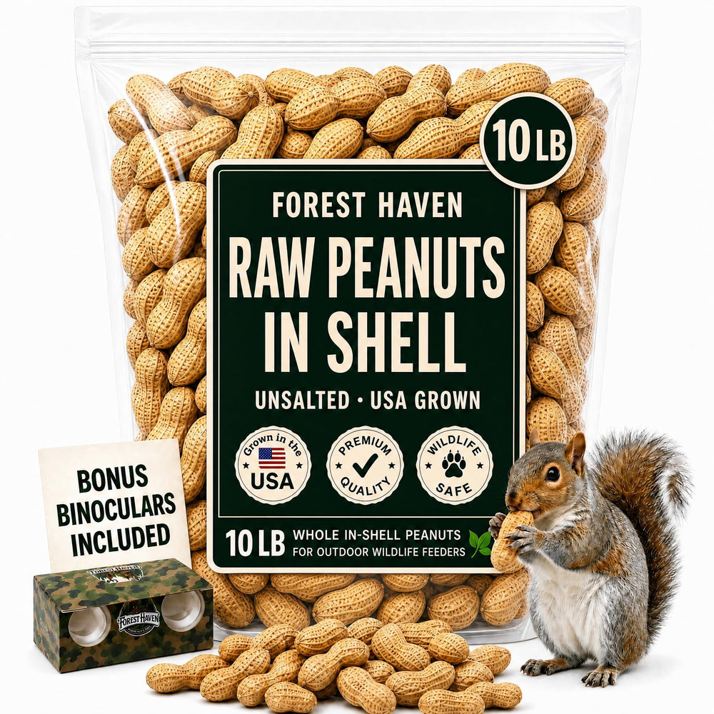Forest Haven front of bag showing brand and 10 lb wildlife feed