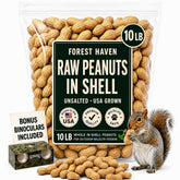 Forest Haven front of bag showing brand and 10 lb wildlife feed