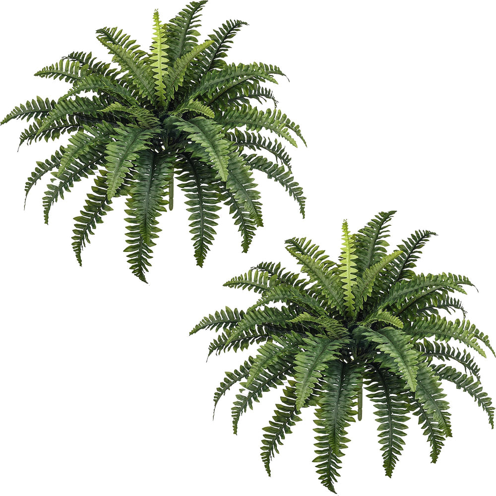 FOREST PRINCE front packaging showing two bundled faux ferns, protected for shipping and display