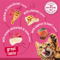 Friskies prime filets variantes sobre mesa con diferentes recetas, elección de sabores