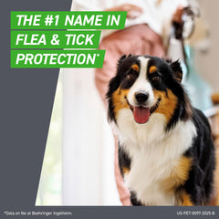Aplicación de Frontline Plus en el dorso del perro mostrando uso seguro y puntual