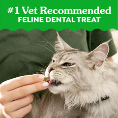 Greenies texture detail highlighting toothbrush-shaped edges for cleaning