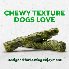 Greenies perro masticando twist en casa mostrando entretenimiento calmante