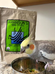 Harrison's Bird Foods textura de pellet fino que facilita consumo uniforme