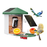 HARYMOR front view showing feeder and camera, clear monitoring benefit