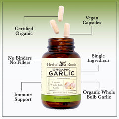 Herbal Roots bulbo de ajo orgánico entero junto a cápsulas para comparar origen