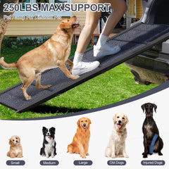 HerCcreta wigge close-up carpet texture cushioning paws and improving traction