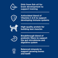 Hill's Science Diet detalle sobre la mezcla ActivBiome+ que apoya digestión