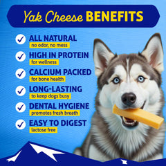 Himalayan Dog Chew textura en primer plano, resistente y segura para masticar