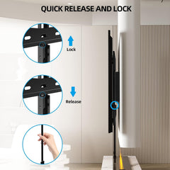 HOME VISION organized mounting hardware layout with screws and anchors for easy install