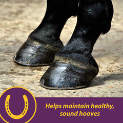 Horse Health crumbles textura detallada que facilita mezcla y consumo