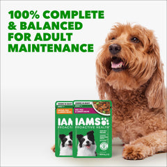 IAMS ingrediente carne real mostrada para destacar proteína de calidad