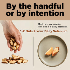 I'm A Nut nueces de Brasil enteras mostrando tamaño y calidad