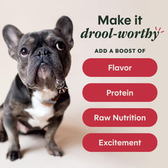 Instinct topper espolvoreado sobre kibble, mejora sabor y aceptación