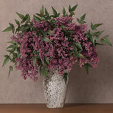 juxdp front packaging dusty plum nandina stems showing set of four, clear product presentation benefit