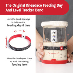 KNEADACE detailed shot of feed and measurement markings to track growth accurately