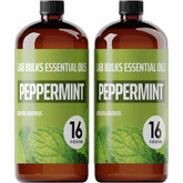 Lab Bulks Essential Oil front packaging showing two 16 oz bottles and quantity benefit