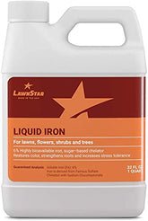 LawnStar frente del envase mostrando botella y capacidad 32 oz para aplicación fácil