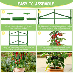 Legigo assembled hexagon trellis supporting tomato vines securely