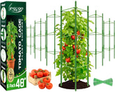 Legigo front packaging showing full 6-pack kit and benefits