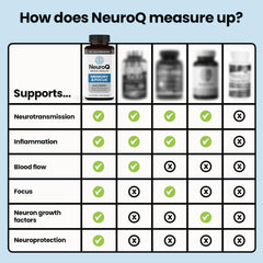 LifeSeasons NeuroQ beside notebook on desk conveying focus support during work