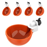 Lil'Clucker frontal del pack naranja mostrando 5 vasos resistentes y prácticos