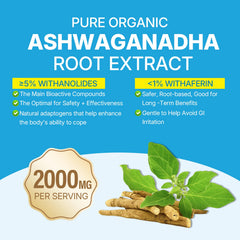 LILICARE ingredient label focused on organic ashwagandha and vegan callout
