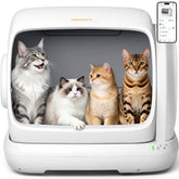 Meowant front view showing large entrance and easy access benefit