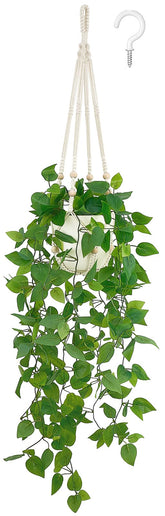 Mkono planta colgante frontal mostrando aspecto realista y sin mantenimiento