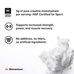 Momentous powder close-up texture highlighting fine solubility for smooth mixing