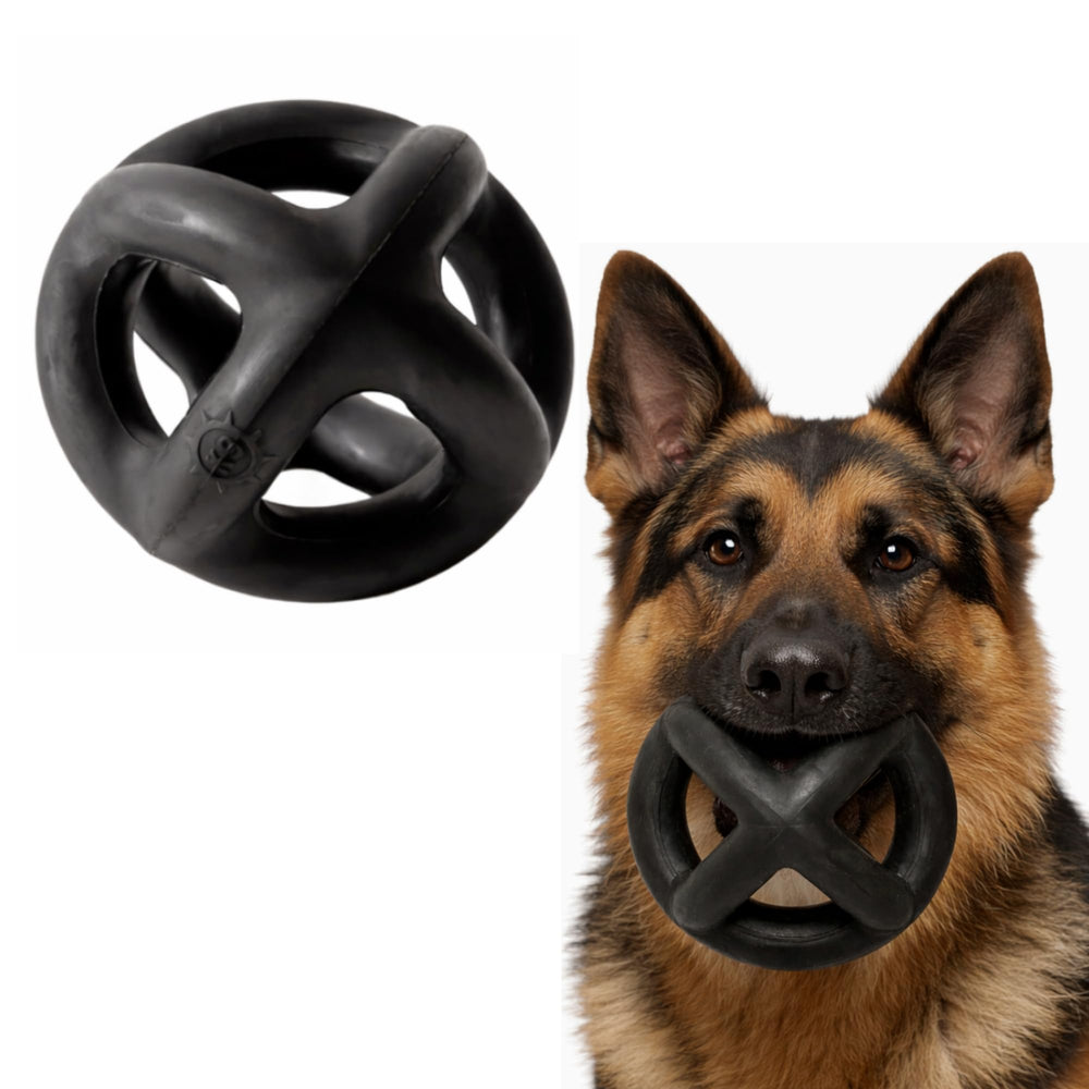 Monster K9 Ring Ball vista frontal mostrando forma y resistencia