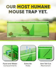 Motel Mouse primer plano de orificios de ventilación que reducen estrés