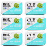 MYNTZ! lata frontal Wintermynt con diseño y sello de frescor