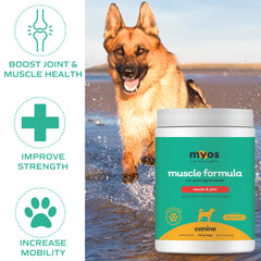 MYOS CANINE being mixed into dog food for easy daily use