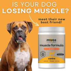 MYOS being stirred into wet food illustrating easy administration and palatability