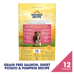 Nature's Recipe kibble close-up texture highlighting crunchy balance