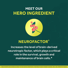 NEURIVA Neurofactor ingrediente principal y su aporte para concentración